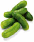 Mini-Gurken im Netto Marken-Discount Prospekt Mini-Gurken von Tabaluga im aktuellen Netto Marken-Discount Prospekt für 1,79 €