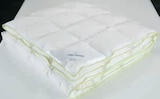 Entendaunen-Bettdecke 135x200 cm im Angebot bei JYSK in Gladbeck Entendaunen-Bettdecke 135x200 cm Angebote von Greenfirst bei JYSK Gladbeck für 45,00 €