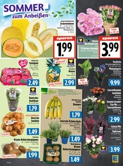 Aktueller EDEKA Prospekt mit Bio, "Aktuelle Angebote", Seite 3