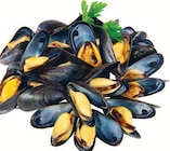 Promo Moules de bouchot AOP à 7,99 € dans le catalogue Supermarchés Match à Soultz-sous-Forêts