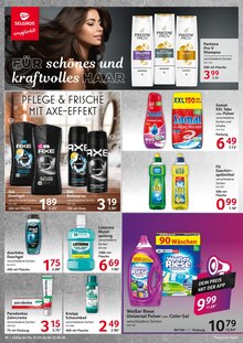 Geschirrspüler im Selgros Prospekt "cash & carry" mit 24 Seiten (Mannheim)