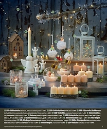 Weihnachtsbaum im famila Nordost Prospekt "Aktuelle Angebote" mit 8 Seiten (Langenhagen)