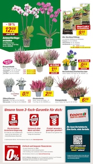 Blumen im aktuellen toom Baumarkt Prospekt (Leipzig) Blumen im toom Baumarkt Prospekt "Respekt, wer's selber macht." mit 14 Seiten (Leipzig)