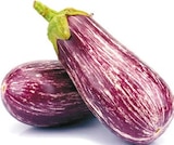 Graffiti Aubergine im aktuellen Netto mit dem Scottie Prospekt