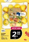 Elstar von GO Regio im aktuellen Netto mit dem Scottie Prospekt für 2,99 €