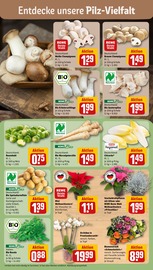 Aktueller REWE Prospekt mit Pflanzen, "Dein Markt", Seite 7