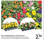 Beet- und Balkonpflanzen "Sommerblumen" im Angebot bei Hellweg in Falkensee Beet- und Balkonpflanzen "Sommerblumen" Angebote bei Hellweg Falkensee für 2,79 €