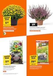 OBI Gartenerde im Prospekt OBI Gartenerde im Prospekt