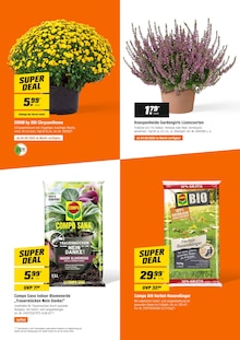 Blumen im aktuellen OBI Prospekt (Hamburg) Blumen im OBI Prospekt "FÜRS MACHEN GEMACHT" mit 12 Seiten (Hamburg)