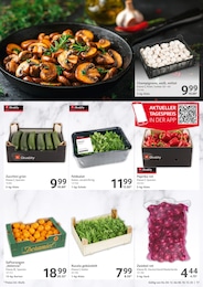 Rucola Angebot & Preis im aktuellen Selgros Prospekt Rucola Angebot im aktuellen Selgros Prospekt auf Seite 17