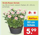 Große Rosen-Schale im aktuellen Netto Marken-Discount Prospekt