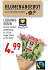 Lieblingsrosen Angebote von EDEKA Herzstücke bei Marktkauf Dinslaken für 4,99 €