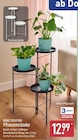 Pflanzenständer von HOME CREATION im aktuellen ALDI Nord Prospekt für 12,99 €