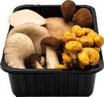 Speisepilze 'Italian Dreams' Angebote bei EDEKA Hamm für 3,99 €