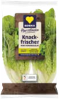 Mini Romanasalat von Edeka Herzstücke für 0,66 € bei EDEKA im Angebot Mini Romanasalat von Edeka Herzstücke im aktuellen EDEKA Prospekt
