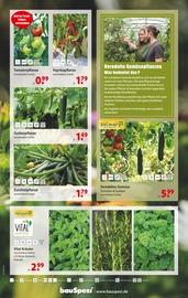 Aktueller bauSpezi Prospekt mit Gurkenpflanze, "Packen wir's an!", Seite 7