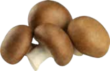 Champignons für 2,49 € bei Marktkauf im Angebot Champignons im aktuellen Marktkauf Prospekt