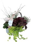 Bunter Herbst Mix im Angebot bei REWE in Münster Bunter Herbst Mix Angebote bei REWE Münster für 7,99 €