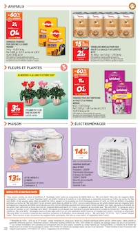 Promotion Dash dans le prospectus Netto, valable du 13/10/2026 au 19/10/2026 Promo Dash dans le catalogue Netto du moment à la page 22