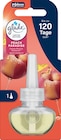 Lufterfrischer Duftstecker Peach Paradise Nachfüllpack bei dm-drogerie markt im Prospekt "" für 4,25 €