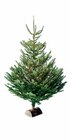 SAPIN NORDMANN 150/175 CM AVEC BÛCHE OFFERTE en promo chez Intermarché SAPIN NORDMANN 150/175 CM AVEC BÛCHE OFFERTE dans le catalogue Intermarché