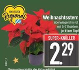 Weihnachtsstern im Angebot bei E center in Regensburg Weihnachtsstern Angebote bei E center Regensburg für 2,29 €