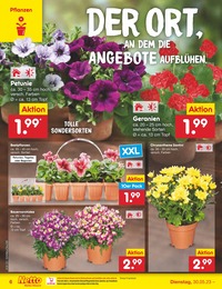 Netto Marken-Discount Pflanzen im Prospekt Netto Marken-Discount Pflanzen im Prospekt