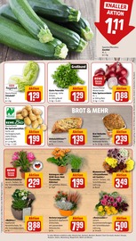 Ähnliche Rasendünger Angebote im Prospekt "Dein Markt" von REWE in Hennef Ähnliche Angebote wie Rasendünger im Prospekt "Dein Markt" auf Seite 9 von REWE in Hennef