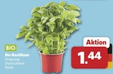 Bio Basilikum bei combi im Uelsen Prospekt für 1,44 €