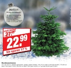 Nordmanntanne bei bauSpezi im Ebermannstadt Prospekt für 22,99 €