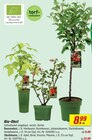 Bio-Obst Beerenobst bei toom Baumarkt im Ritterhude Prospekt für 8,99 €