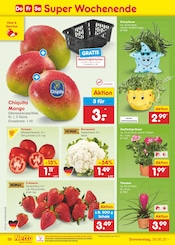 Erdbeeren im Netto Marken-Discount Prospekt in Germering Aktueller Netto Marken-Discount Prospekt mit Erdbeeren, "Aktuelle Angebote", Seite 44