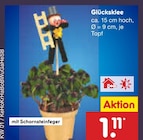 Glücksklee im aktuellen Netto Marken-Discount Prospekt