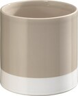 Blumentopf braun-weiß Angebot in Höchst i Odw Blumentopf braun-weiß im aktuellen Prospekt bei dm-drogerie markt in Höchst i Odw