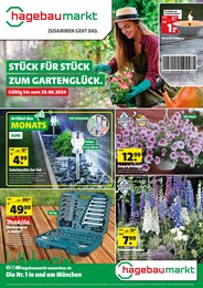55+ Dehner Aktueller Prospekt, Hier findest du jede woche die