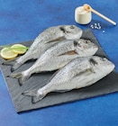 Dorade Royale - Super U à Saumur Dorade Royale en promo chez Super U Saumur à 3,50 €