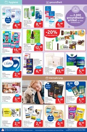 Aktueller budni Prospekt mit Hundefutter, "drogeriemarkt", Seite 5