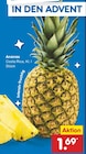 Ananas im Angebot bei Netto Marken-Discount in Düsseldorf Ananas Angebote bei Netto Marken-Discount Düsseldorf für 1,69 €