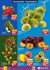 Mango im Netto Marken-Discount Prospekt in Krefeld Aktueller Netto Marken-Discount Prospekt mit Mango, "Aktuelle Angebote", Seite 48