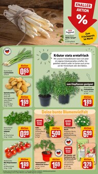 Pflanzen im REWE Prospekt "Dein Markt" mit 30 Seiten (Aachen)