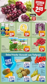 Tomaten im REWE Prospekt "Dein Markt" mit 24 Seiten (Münster)