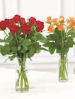 Bouquet de 10 roses - Super U à Clermont-Ferrand Bouquet de 10 roses en promo chez Super U Clermont-Ferrand à 4,39 €