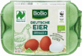 Aktuelles Bio Eier Angebot bei Netto Marken-Discount in Paderborn ab 2,99 €