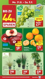 Tiernahrung Angebot & Preis im aktuellen ALDI Nord Prospekt Tiernahrung Angebot im aktuellen ALDI Nord Prospekt auf Seite 8