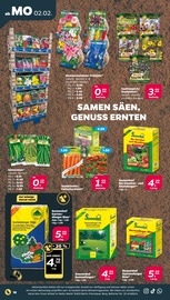 Aktueller Netto mit dem Scottie Prospekt mit Garten, "Günstig. Besser. Für Dich.", Seite 20