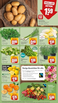 Salat im REWE Prospekt "Dein Markt" mit 28 Seiten (Duisburg)