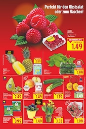 Primel Angebot & Preis im aktuellen E center Prospekt Primel Angebot im aktuellen E center Prospekt auf Seite 3