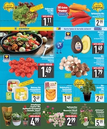 Zimmerpflanzen im aktuellen EDEKA Prospekt (München) Zimmerpflanzen im EDEKA Prospekt "Wir lieben Lebensmittel." mit 22 Seiten (München)