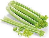 Aktuelle Gemüse Angebote bei REWE in Bielefeld Aktuelles Staudensellerie Angebot bei REWE in Bielefeld ab 1,19 €