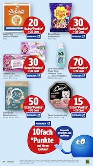 Katzenfutter im EDEKA Prospekt "Aktuelle Angebote" mit 55 Seiten (Mannheim)